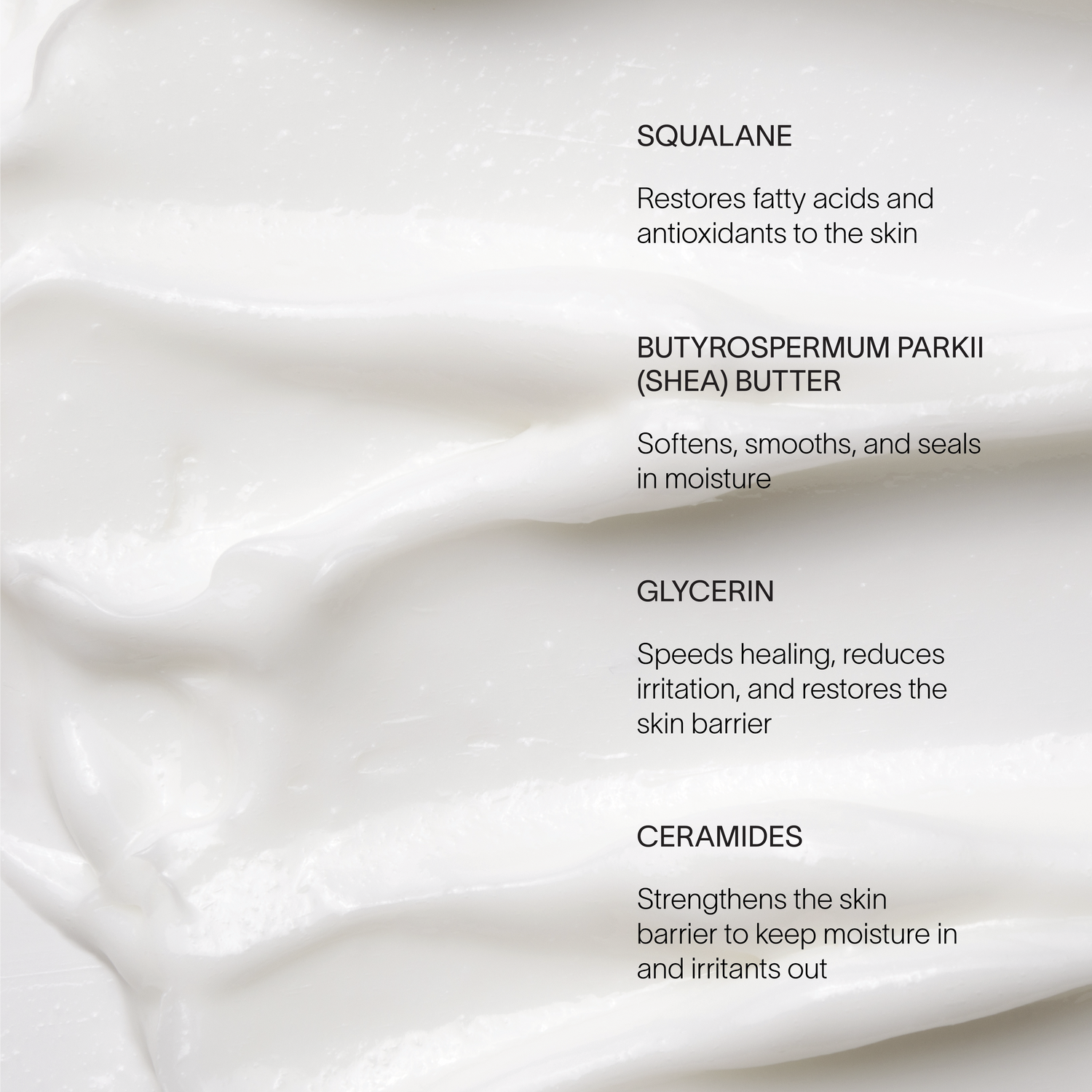 Body Cream – Fast-Absorbing Ceramide Moisturizer for Dry, Sensitive Skin