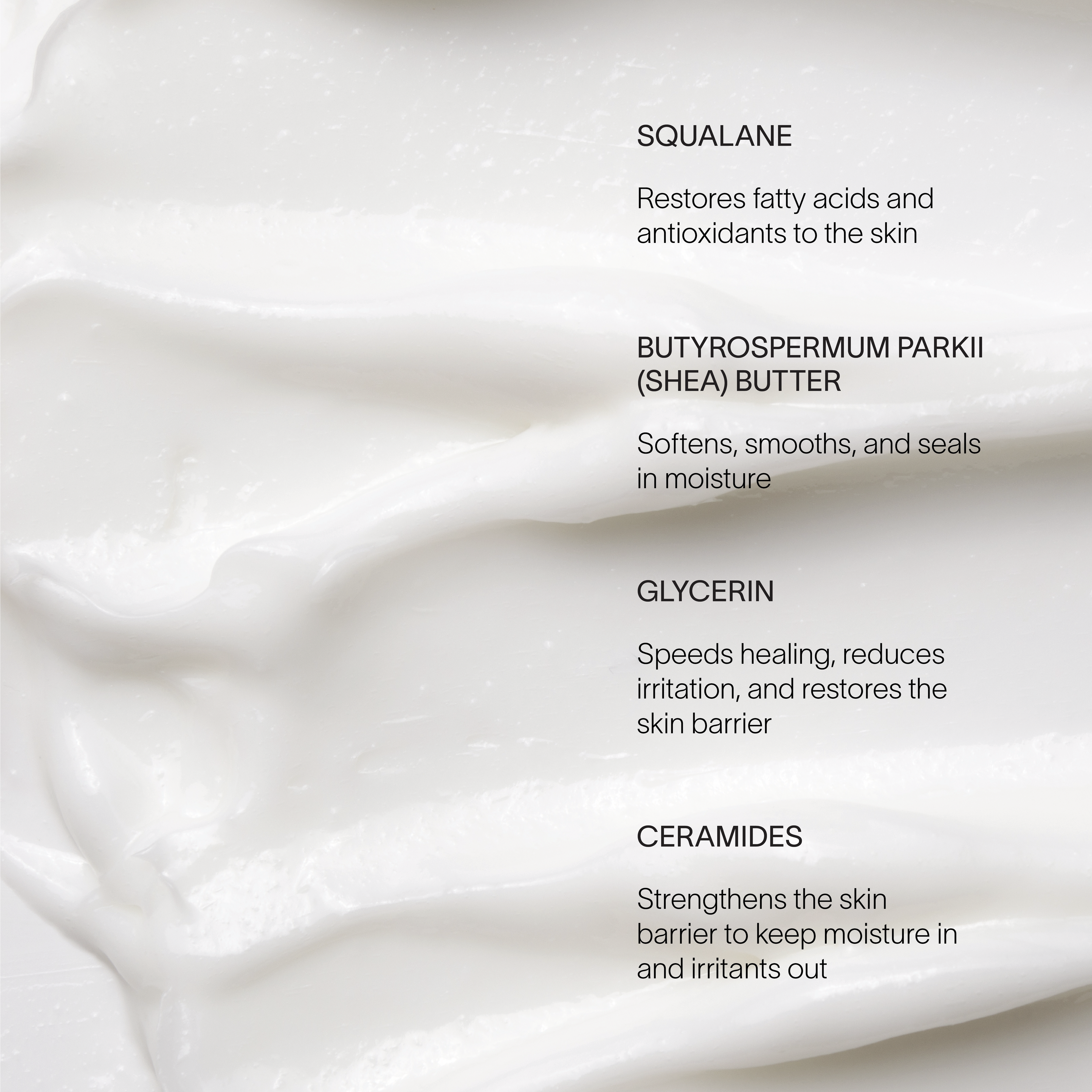 Body Cream – Fast-Absorbing Ceramide Moisturizer for Dry, Sensitive Skin