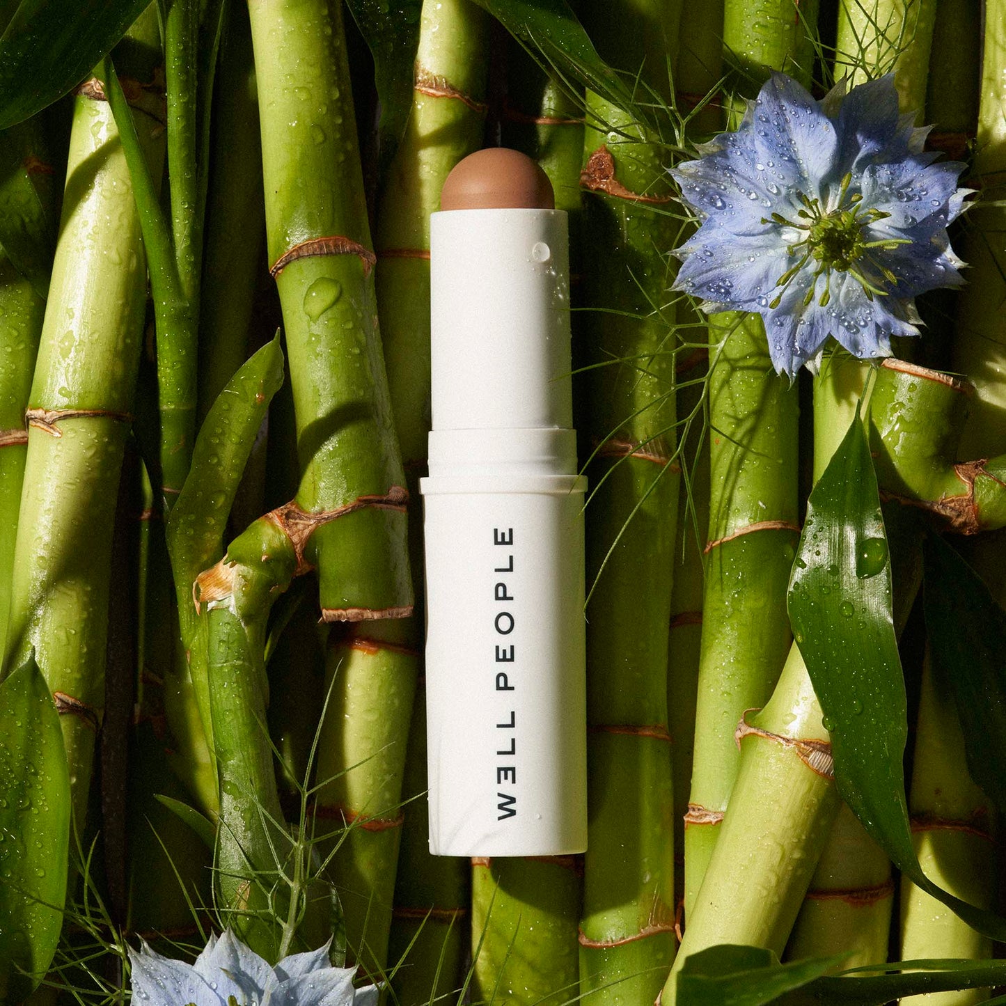 Supernatural Complexion Stick Foundation & Concealer