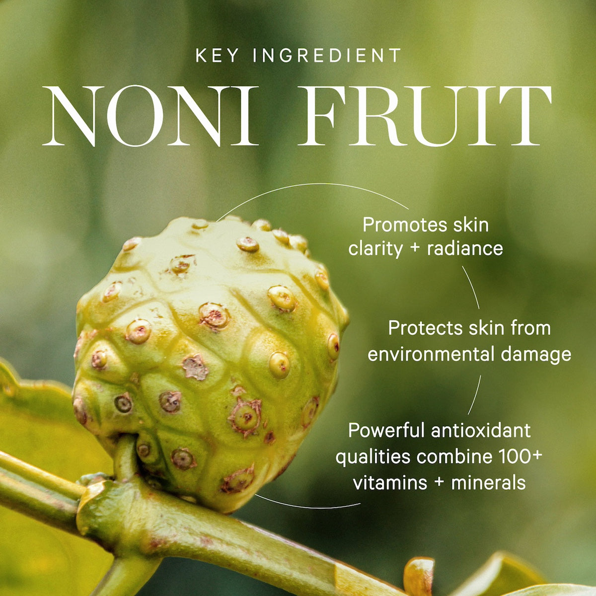 Noni Radiant Eye Oil